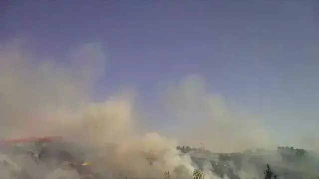 שריפה גדולה ביער ירושלים, יולי 2011 שריפה גדולה ביער ירושלים, יולי 2011