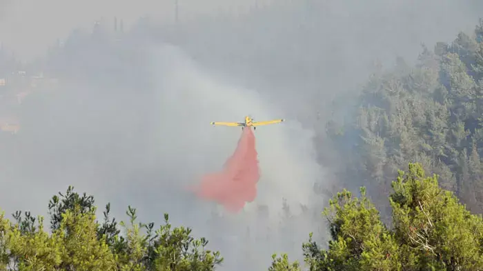 שריפה גדולה ביער ירושלים, יולי 2011 שריפה גדולה ביער ירושלים, יולי 2011