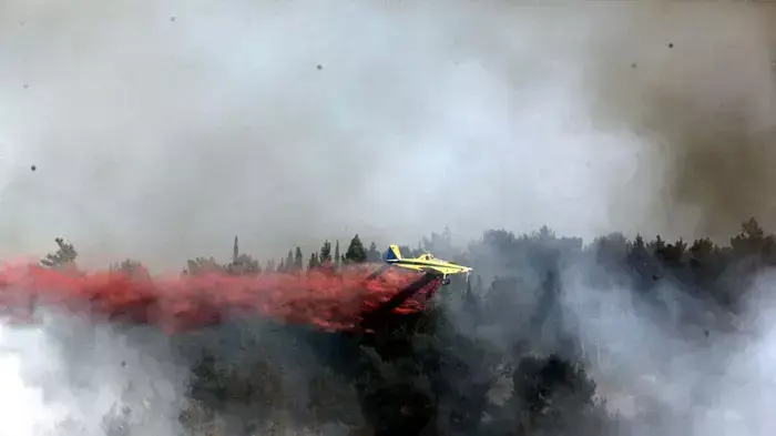 שריפה גדולה ביער ירושלים, יולי 2011 שריפה גדולה ביער ירושלים, יולי 2011