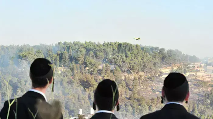 שריפה גדולה ביער ירושלים, יולי 2011