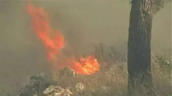 שריפת ענק משתוללת בבירה, "יד ושם" פונה [שינוי סופר לאתמול]