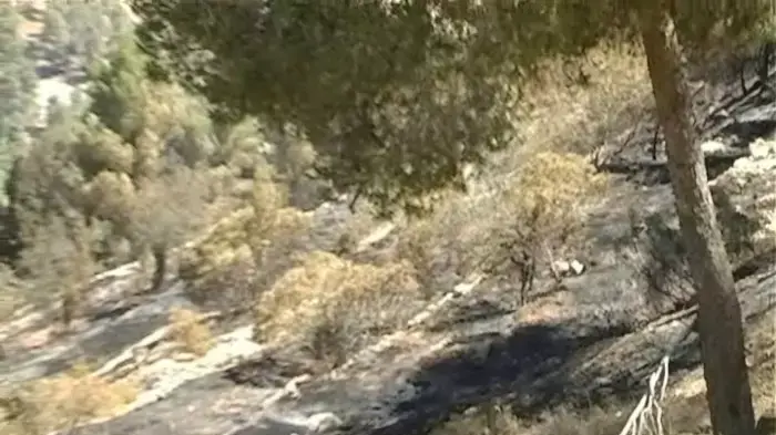 עובדי "יד ושם": "שמרנו על זיכרון העם היהודי"