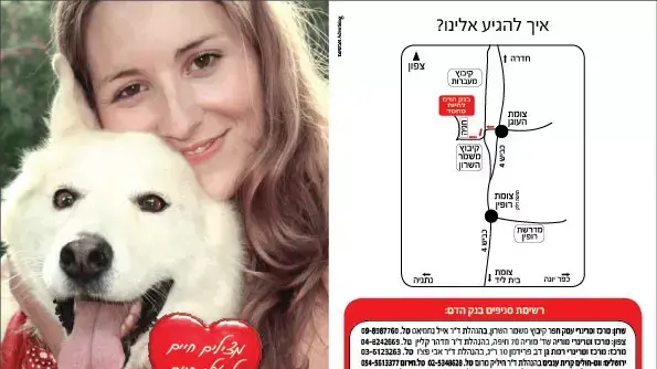 עלון תרומות דם לחיות מחמד, קיץ 2011 עלון תרומות דם לחיות מחמד, קיץ 2011