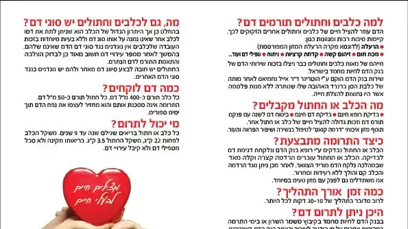 עלון תרומות דם לחיות מחמד, קיץ 2011 עלון תרומות דם לחיות מחמד, קיץ 2011