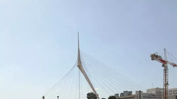 רופאים יוצאים מבית החולים בלינסון להפגין, יולי 2011
