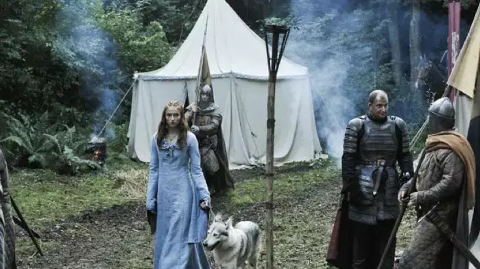 השחקנית סופי טרנר בתפקיד סאנסה בסדרת HBO משחקי הכס (2011) השחקנית סופי טרנר בתפקיד סאנסה בסדרת HBO משחקי הכס (2011)