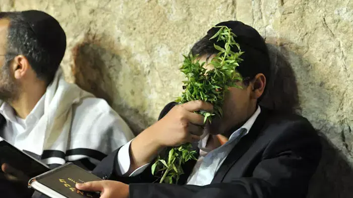 תפילות בכותל לרגל תשעה באב