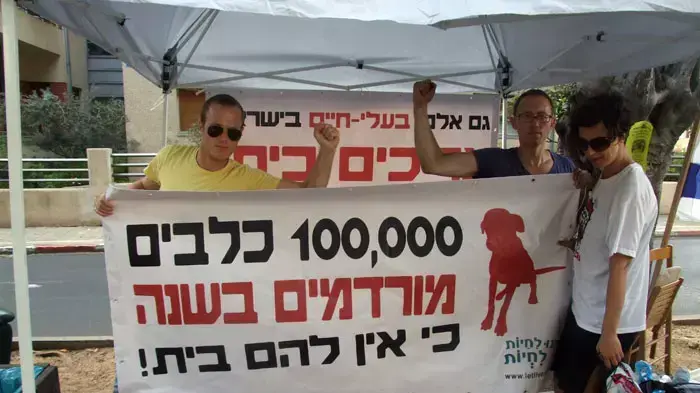 כלבים במאהל המחאה בשדרות רוטשילד, אוגוסט 2011 כלבים במאהל המחאה בשדרות רוטשילד, אוגוסט 2011