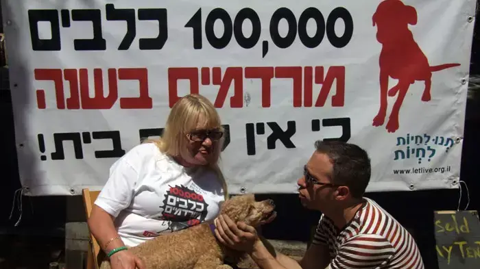 כלבים במאהל המחאה בשדרות רוטשילד, אוגוסט 2011 כלבים במאהל המחאה בשדרות רוטשילד, אוגוסט 2011