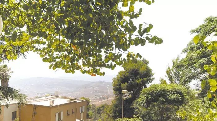 קיבוץ מנרה קיבוץ מנרה