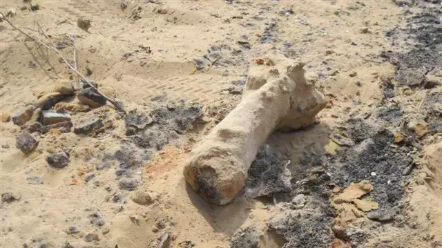פצמ"ר המכיל זרחן אשר הפלסטינים זרקו לכיוון ישראל, אוגוסט 2011 פצמ"ר המכיל זרחן אשר הפלסטינים זרקו לכיוון ישראל, אוגוסט 2011