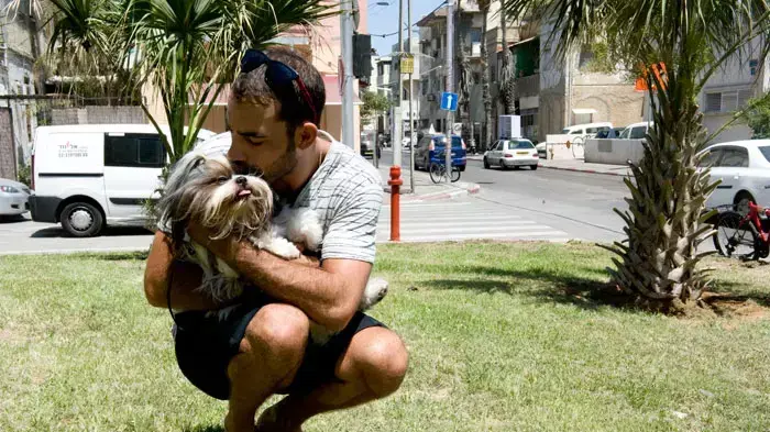 עמיר גולדברג ושני כלביו, צ'יסר הפוינטר בן השנה ובוני השייצו בן השלוש וחצי, 23 אוגוסט 2011 עמיר גולדברג ושני כלביו, צ'יסר הפוינטר בן השנה ובוני השייצו בן השלוש וחצי, 23 אוגוסט 2011