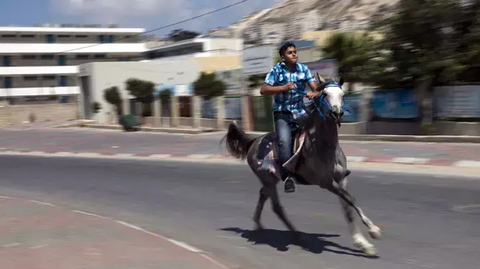 חג עיד אלפיטר בשכם, אוגוסט 2011 חג עיד אלפיטר בשכם, אוגוסט 2011
