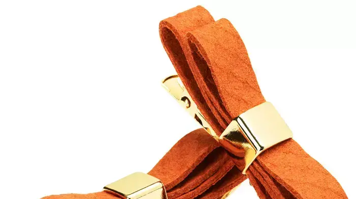 קליפסים לשיער בצבע חמרה של H&M  מחיר 24.90 שח 