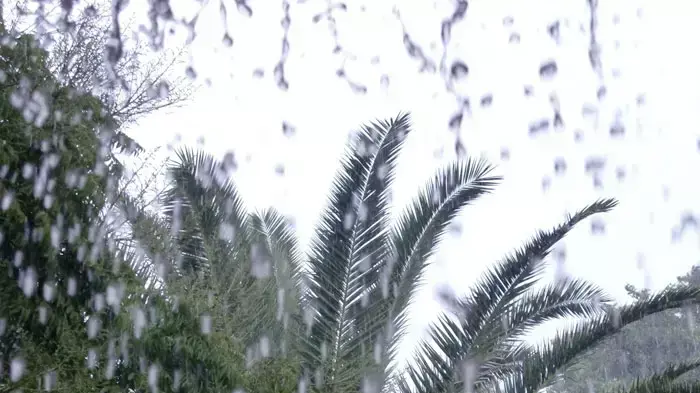 גשם בצפון הארץ גשם בצפון הארץ