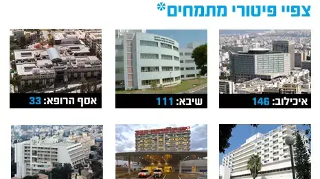 צפי פיטורי מתמחים צפי פיטורי מתמחים