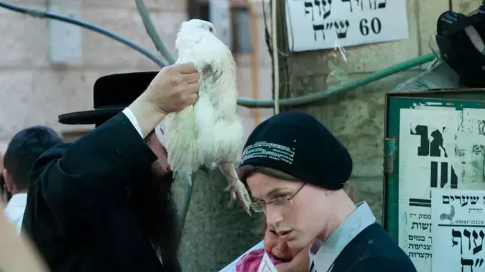 מנהג כפרות בירושלים, אוקטובר 2011