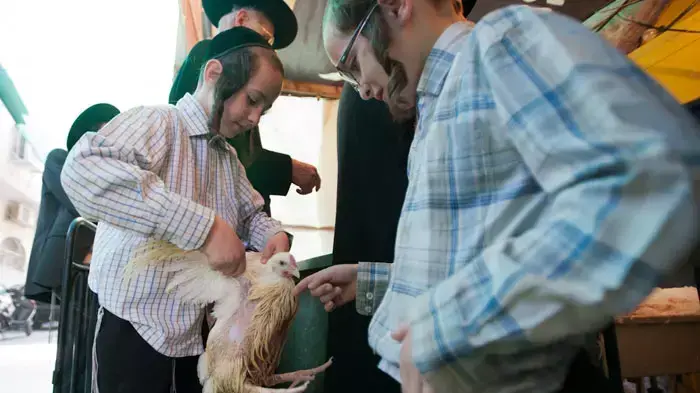 מנהג כפרות בירושלים, אוקטובר 2011
