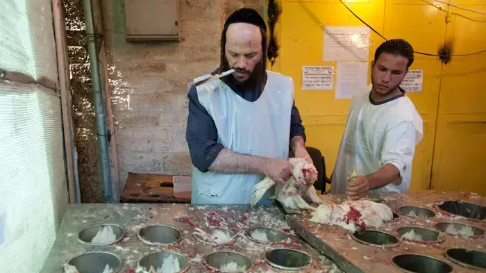 מנהג כפרות בירושלים, אוקטובר 2011