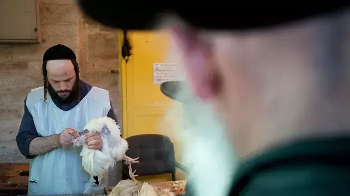 מנהג כפרות בירושלים, אוקטובר 2011