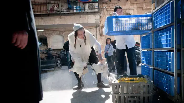 מנהג כפרות בירושלים, אוקטובר 2011