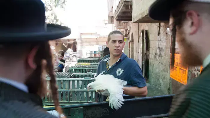 מנהג כפרות בירושלים, אוקטובר 2011