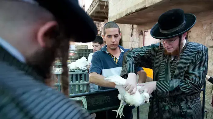 מנהג כפרות בירושלים, אוקטובר 2011