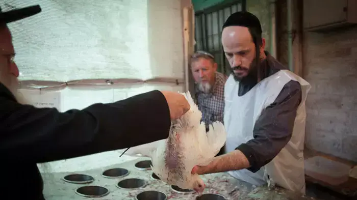 מנהג כפרות בירושלים, אוקטובר 2011