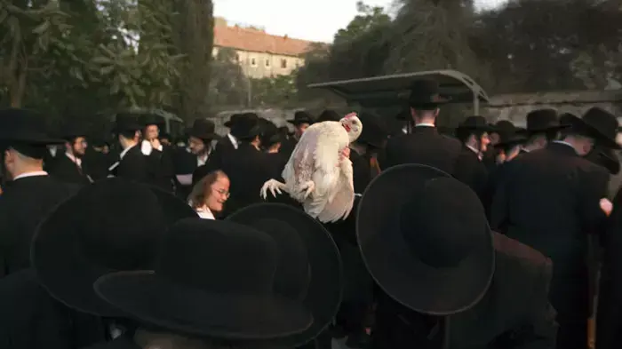 חרדים בשכונת מאה שערים בירושלים בטקס כפרות, 5 אוקטובר 2011 חרדים בשכונת מאה שערים בירושלים בטקס כפרות, 5 אוקטובר 2011