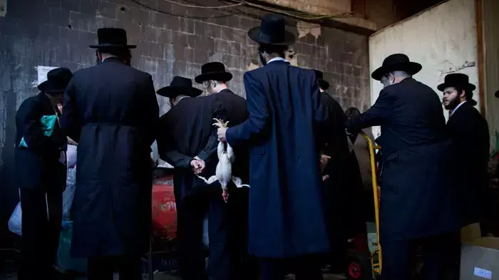 מנהג הכפרות ,בני ברק 5 באוקטובר 2011 מנהג הכפרות ,בני ברק 5 באוקטובר 2011
