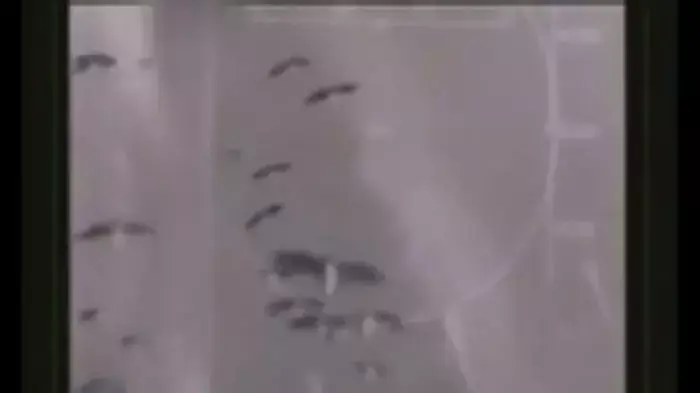 מטוס F-15 נפגע משקנאי ומבצע נחיתת חירום
