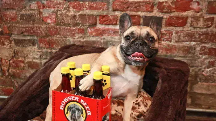 השקת בירה ראשונה בטעם בשר ועוף לכלבים, בוטיק Paw dog, ניו יורק, 28 אוקטובר השקת בירה ראשונה בטעם בשר ועוף לכלבים, בוטיק Paw dog, ניו יורק, 28 אוקטובר