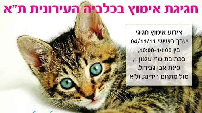 כרזות אימוץ כלבים וחתולים של כלביית רידינג בתל אביב, נובמבר 2011 כרזות אימוץ כלבים וחתולים של כלביית רידינג בתל אביב, נובמבר 2011