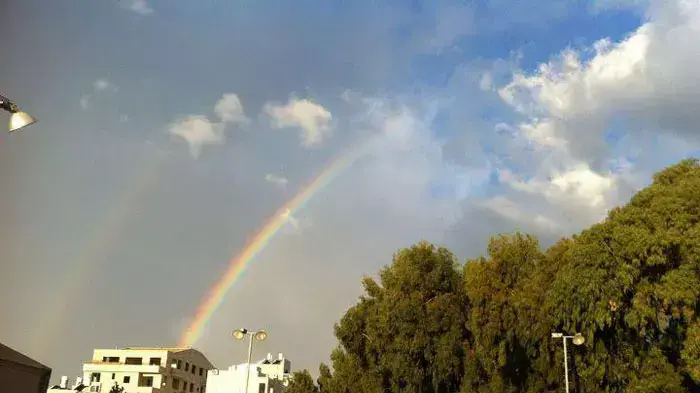 קשת בנתניה, נובמבר 2011 קשת בנתניה, נובמבר 2011