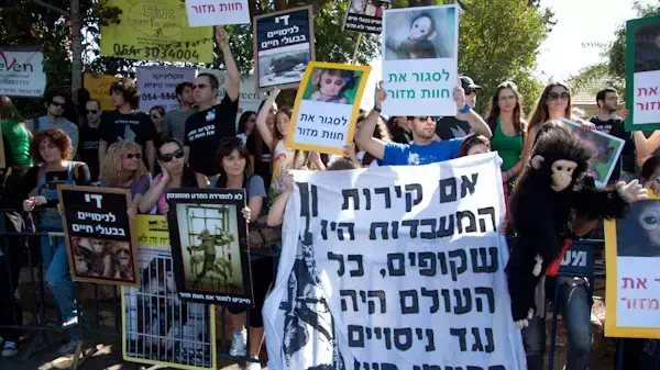 עצרת בקריאה לסגירת חוות מזור עצרת בקריאה לסגירת חוות מזור