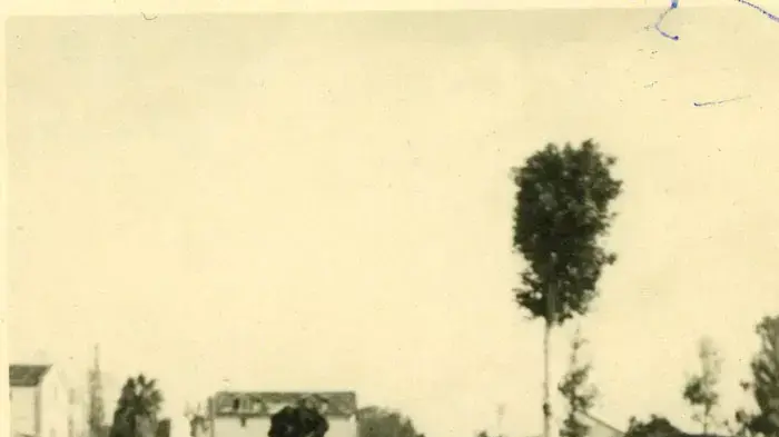 חורף 1950 בתל אביב, נובמבר 2011 חורף 1950 בתל אביב, נובמבר 2011