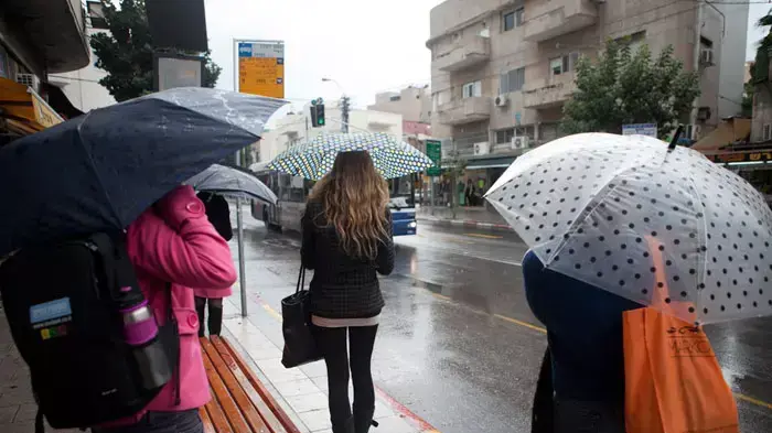 גשם ראשון בתל אביב, נובמבר 2011 גשם ראשון בתל אביב, נובמבר 2011