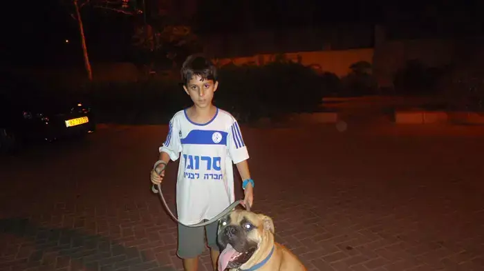 ילד עם כלב בקורס "מאלף כלבים צעיר" של אילוף בחיוך ילד עם כלב בקורס "מאלף כלבים צעיר" של אילוף בחיוך