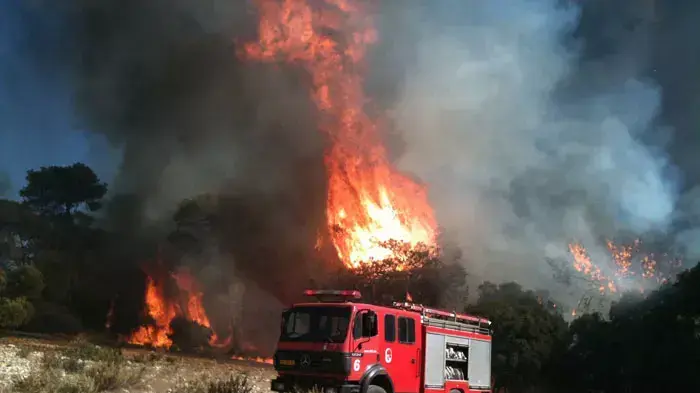 שנה אחרי השריפה בכרמל: בעוספייה עדיין כואבים