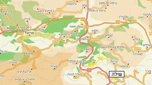 מפה, שילה, דצמבר 2011 מפה, שילה, דצמבר 2011