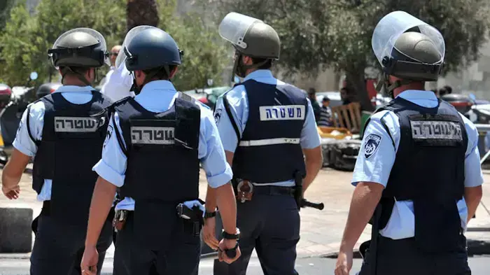 משטרה, דצמבר 2011