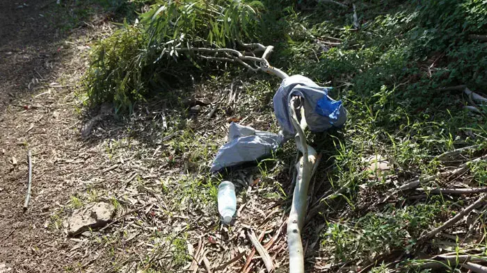 צנחן שהתרסק בחצר בית בבנימינה