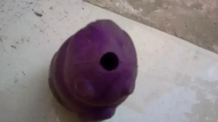 הצעצוע של הכלבה נלה הצעצוע של הכלבה נלה