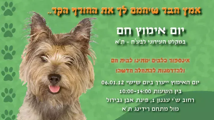 יום אימוץ בכלבייה העירונית בתל אביב יום אימוץ בכלבייה העירונית בתל אביב