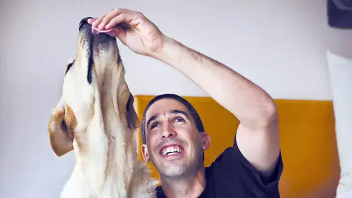 האח הגדול האח הגדול