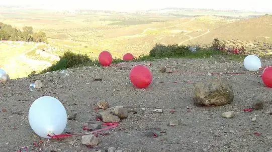 בחור שהציע נישואים לבת זוגתו השאיר פסולת ביער הנשיא, ינואר 2012 בחור שהציע נישואים לבת זוגתו השאיר פסולת ביער הנשיא, ינואר 2012