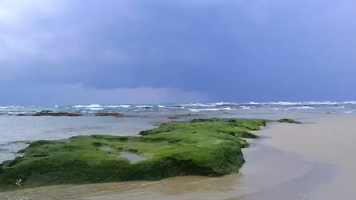 בוקר חורפי בחוף בת ים. צלם: עידן לוי בוקר חורפי בחוף בת ים. צלם: עידן לוי