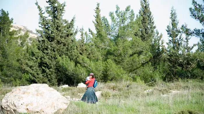 התנחלות עלי, פברואר 2012 התנחלות עלי, פברואר 2012
