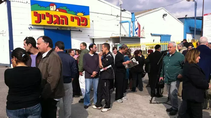 פרי גליל