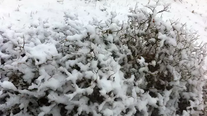 החרמון המושלג פברואר 2012